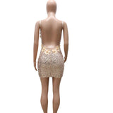 Chic Nude Embroidery Sequins Open Back Dress