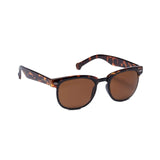 Converse H063 Tortoise Square Brown Lens Men's Acetate Sunglasses