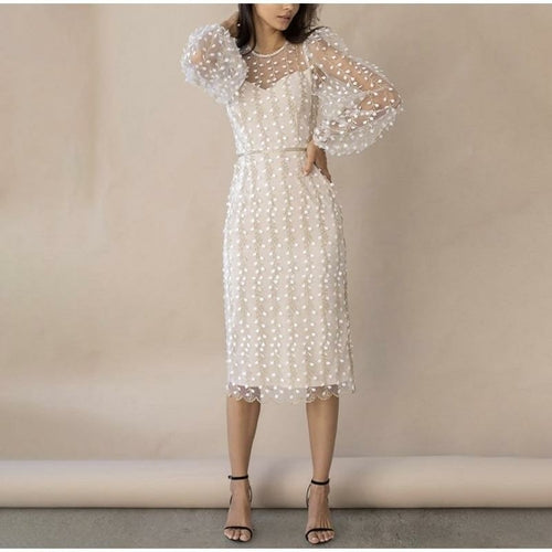 Embroidery Print Floral Mesh Dress