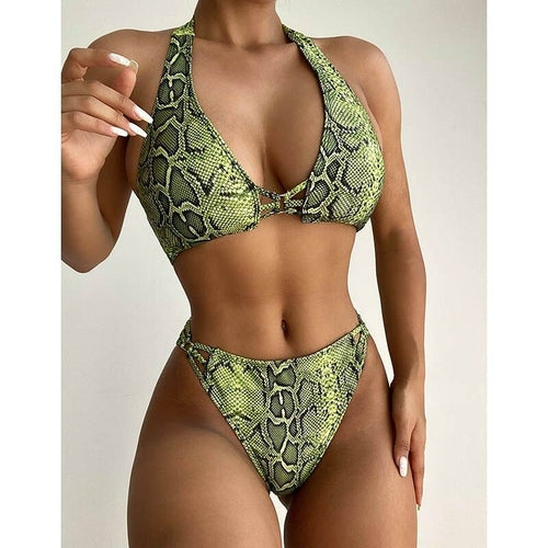 Snake Print Bikini Cut Out Swimsuit