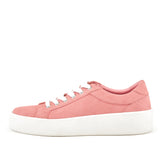 Women's Venice Micro Suede Lace Up Sneaker Pink